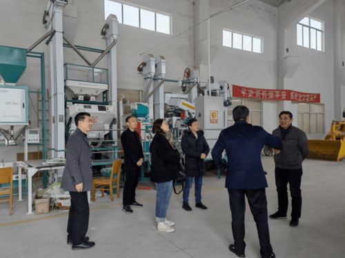 強化監管，護航春節農產品安全
